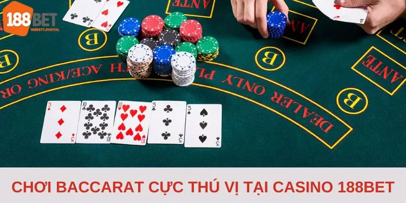 Người chơi cực kỳ thích thú khi chơi bài Baccarat